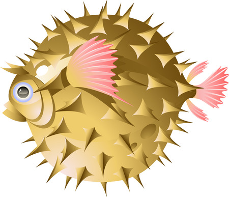 Fish-urchin. Isolated on white. EPS 8のイラスト素材