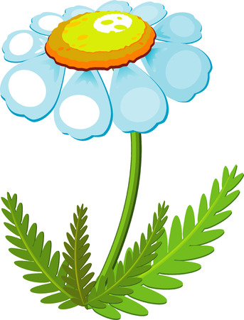Chamomile over white. のイラスト素材