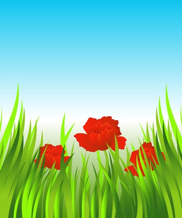 Red poppies in the grass. illustration.のイラスト素材