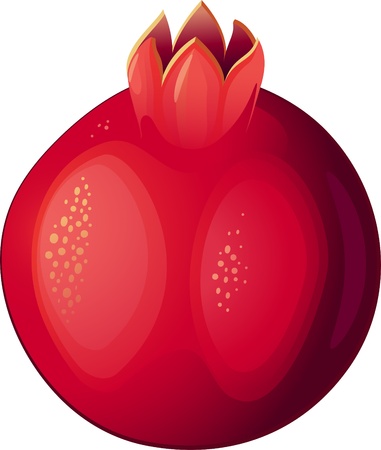 Pomegranate Fruitのイラスト素材