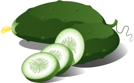 Cucumber over white. EPS 8のイラスト素材