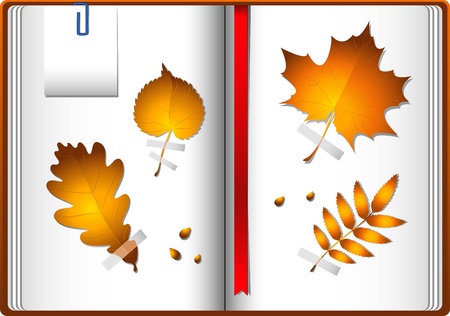 Autumn leaves in a notebook.のイラスト素材