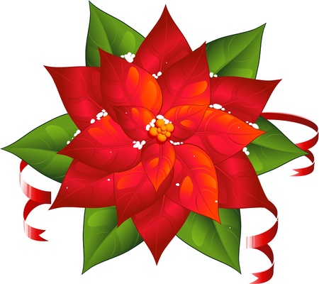 Red poinsettia isolated over white. EPS 8のイラスト素材