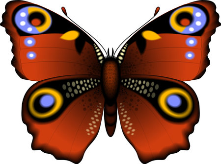 Beautiful butterfly over white. EPS 10のイラスト素材