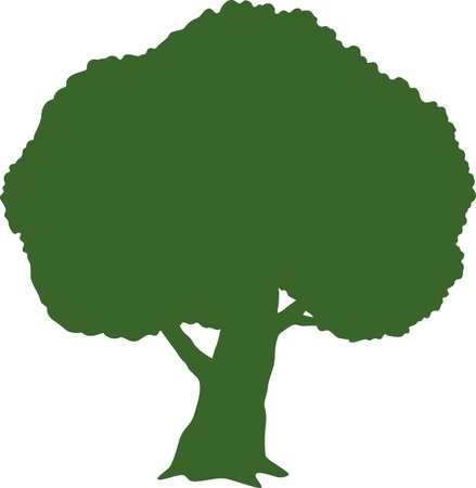 Tree  Silhouette  over white  のイラスト素材