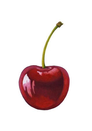 Watercolor cherry isolated on whiteの写真素材