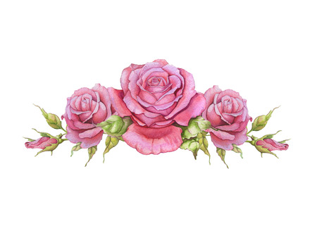 Watercolor horizontal vignette of roses on a white backgroundの写真素材