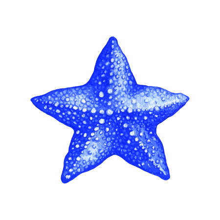 Starfish  Watercolor illustration on white backgroundの写真素材