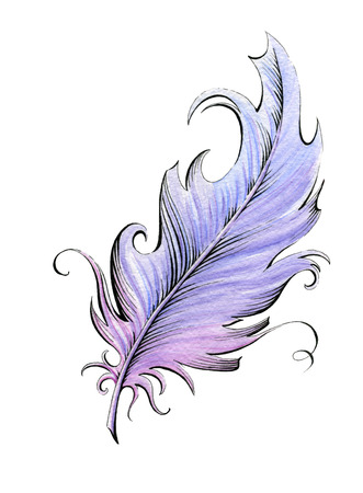 Feather  Watercolor illustration on the white backgroundの写真素材