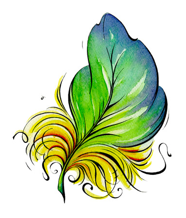 Feather  Watercolor illustration on the white backgroundの写真素材