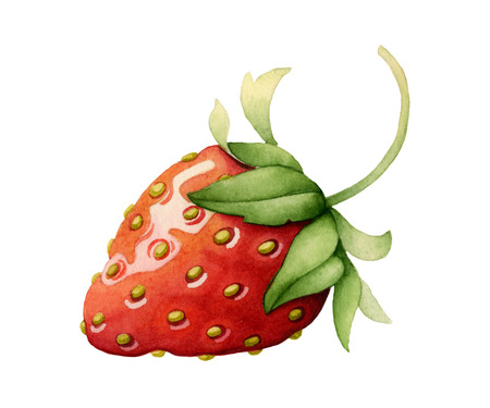 Strawberry made with watercolors on white backgroundの写真素材
