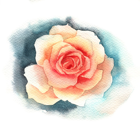 Watercolor roseの写真素材