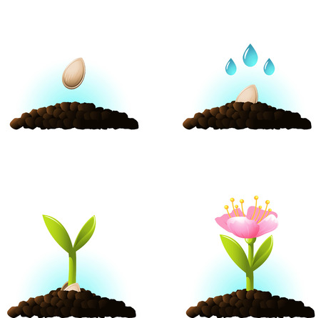 Seed sprout. set of vector icons. eps 10のイラスト素材