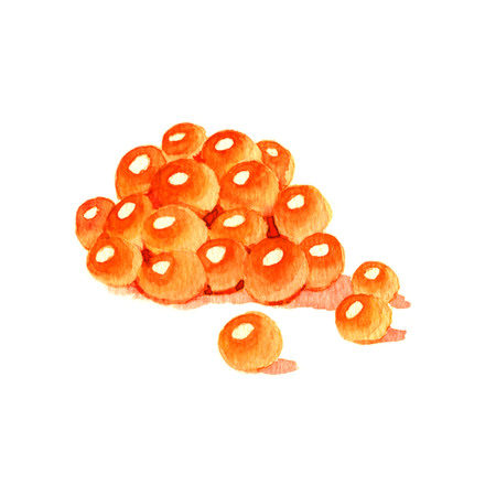 Red caviar. Watercolor illustration on a white backgroundの写真素材