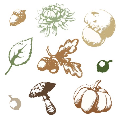 Set of vector images on the theme of autumn, eps 10のイラスト素材