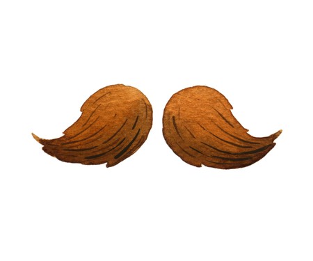 Men's mustache. Watercolor illustration on whiteの写真素材