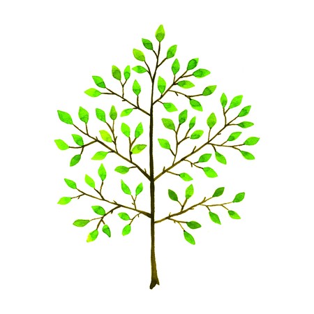 Tree. Hand-drawn watercolor image on white backgroundの写真素材