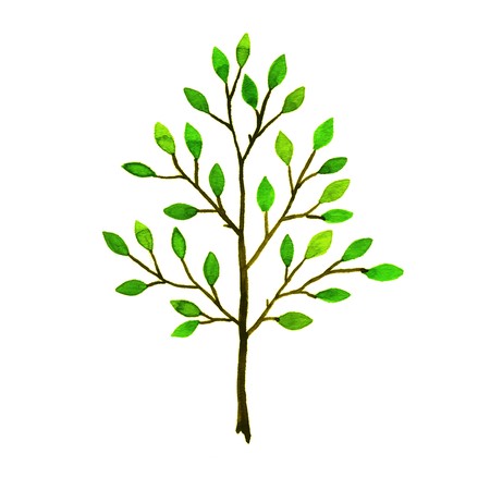 Tree. Hand-drawn watercolor image on white backgroundの写真素材