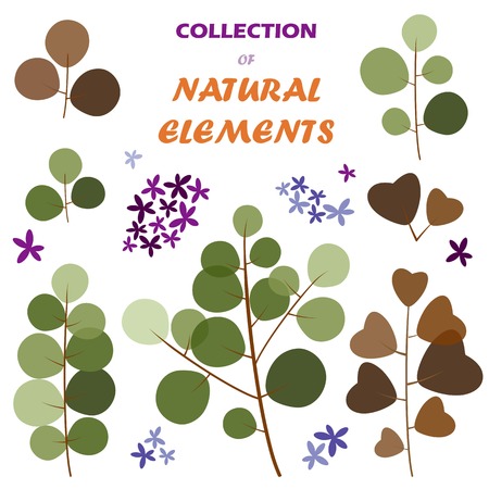 Collection of vector natural elements. Eps 10のイラスト素材