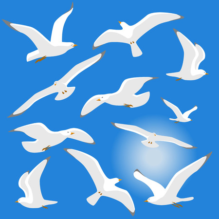 Seagulls isolated on blue background. Vector illustration. Eps 10のイラスト素材