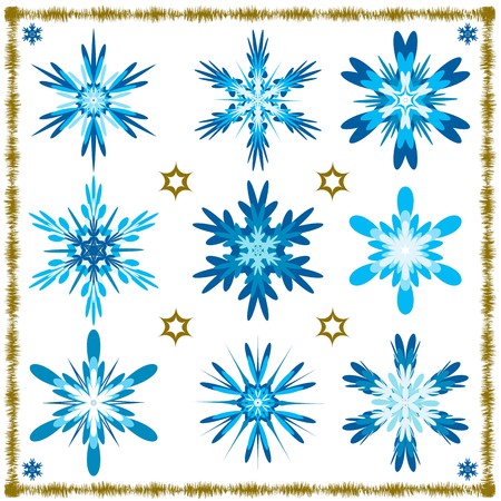 Set of nine vector isolated snowflakes. EPS 10のイラスト素材