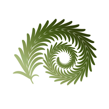 Twig fern curl. Vector image isolated on white. Eps 10のイラスト素材