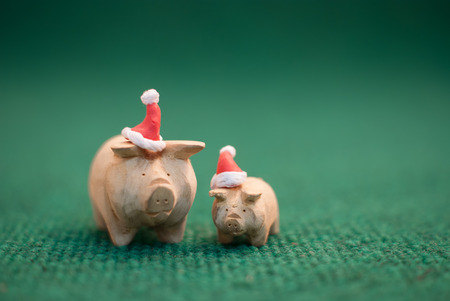 two pigs wearing christmas hat stand on green backgroundの写真素材
