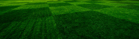 Football playing in the game