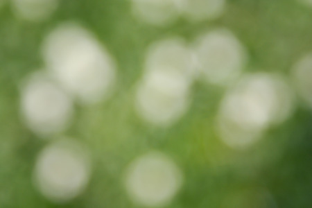 Blur bokeh white and greenの写真素材