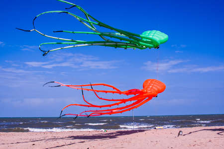 Beautiful kites in a kite festival. Full of color and flying against a vivid blue sky at the beach in summer.の写真素材