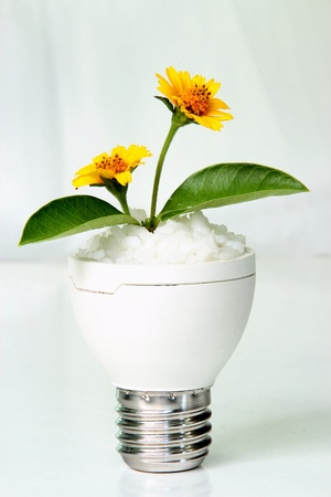 Waste materials. The invention is a vase of flowersの写真素材