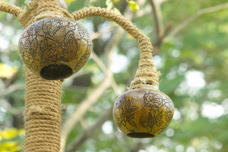 Inventions made   of a variety of coconut shell  This lamp is one of them の写真素材