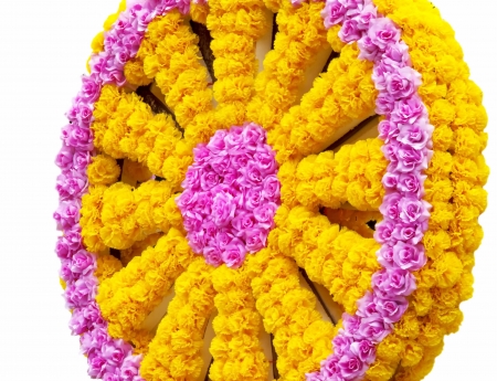 Placed between marigold and rose beautifully flowerの写真素材