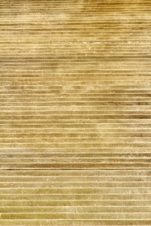 Cement staircase with a large stage hundreds of beautiful designs.の写真素材