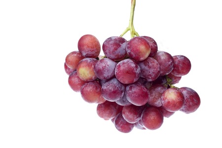 Grape fruit has a sweet taste to the wine.の写真素材