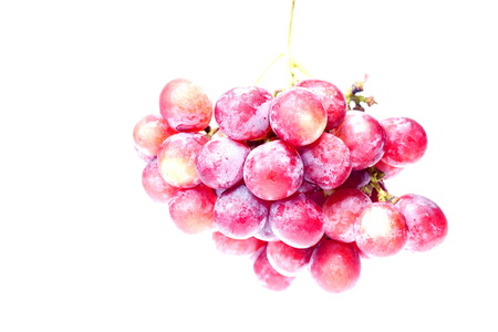 Grape fruit has a sweet taste to the wine.の写真素材