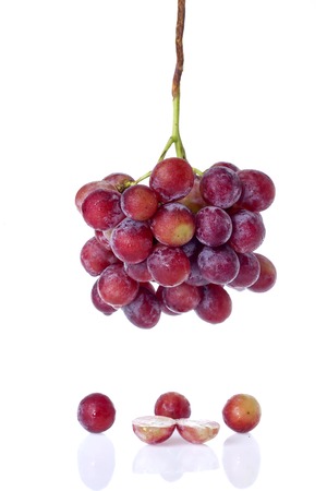 Grape fruit has a sweet taste to the wine.の写真素材