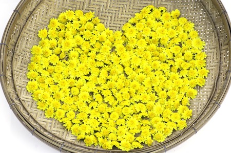 beautiful chrysanthemum morifolium ramat in sun light and lans flare macro with extremely shallow dof soft styleの写真素材