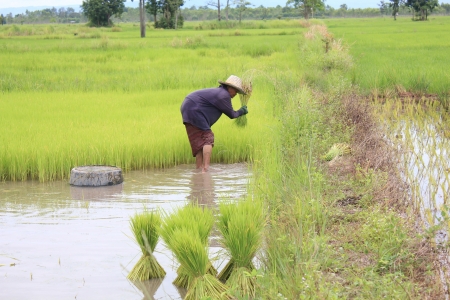 Farmerの写真素材
