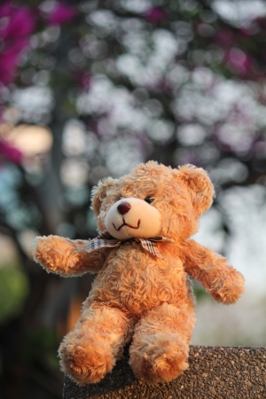 Teddy bear in the parkの写真素材