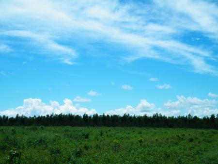 green field on the blue sky with の写真素材