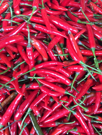 Red chiliの写真素材