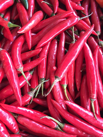 Red chiliの写真素材