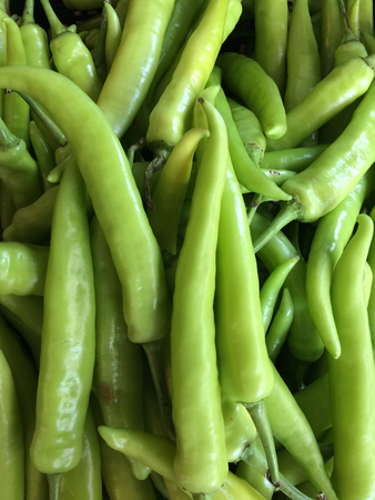 green chiliの写真素材