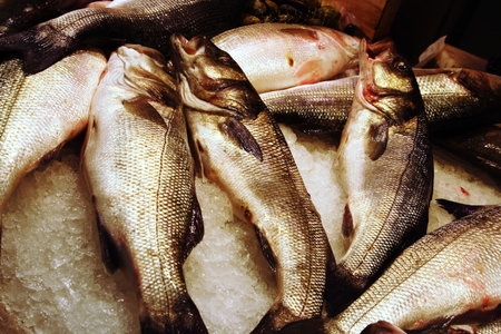 fresh fish on ice