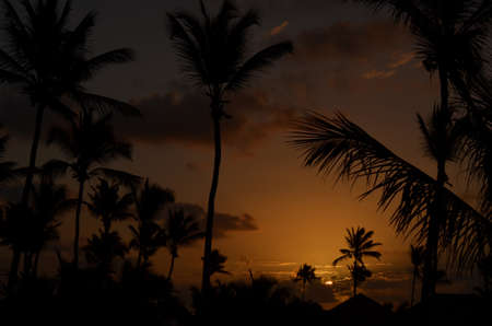 Silhouettes of palm trees and roofs in beautiful sunriseの写真素材