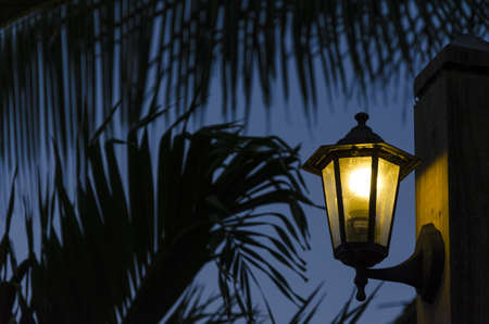 Romantic old light with palm leaves and blue early night sky in the backgroundの写真素材