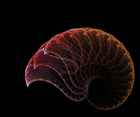 the sheelの写真素材