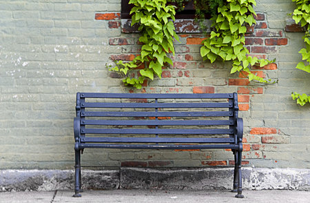 An black iron bench beside an old brick wall with vines on it. の写真素材