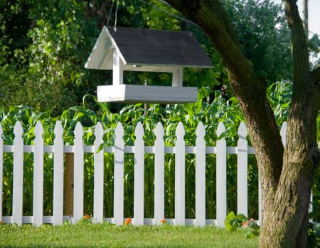 A large bird feeder haning in a tree located in an urban neighborhood. の写真素材